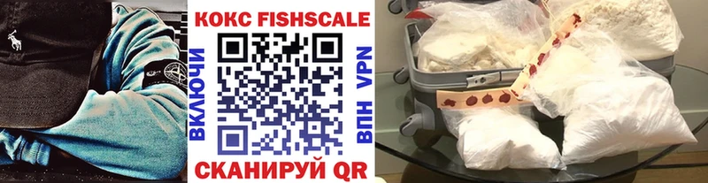 COCAIN Fish Scale где продают наркотики МЕГА вход Заводоуковск