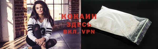 хмурый Абаза