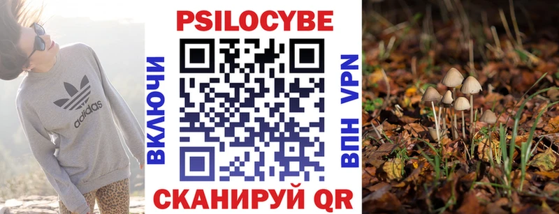 закладки  Заводоуковск  гидра зеркало  Галлюциногенные грибы Cubensis 